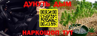 ECSTASY Бугуруслан