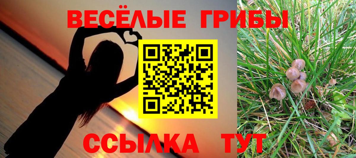Галлюциногенные грибы прущие грибы Тара