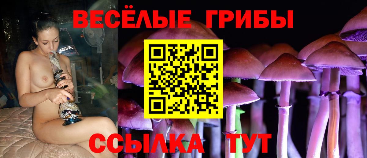 Галлюциногенные грибы мицелий  Вход с VPN  как найти   Тара 